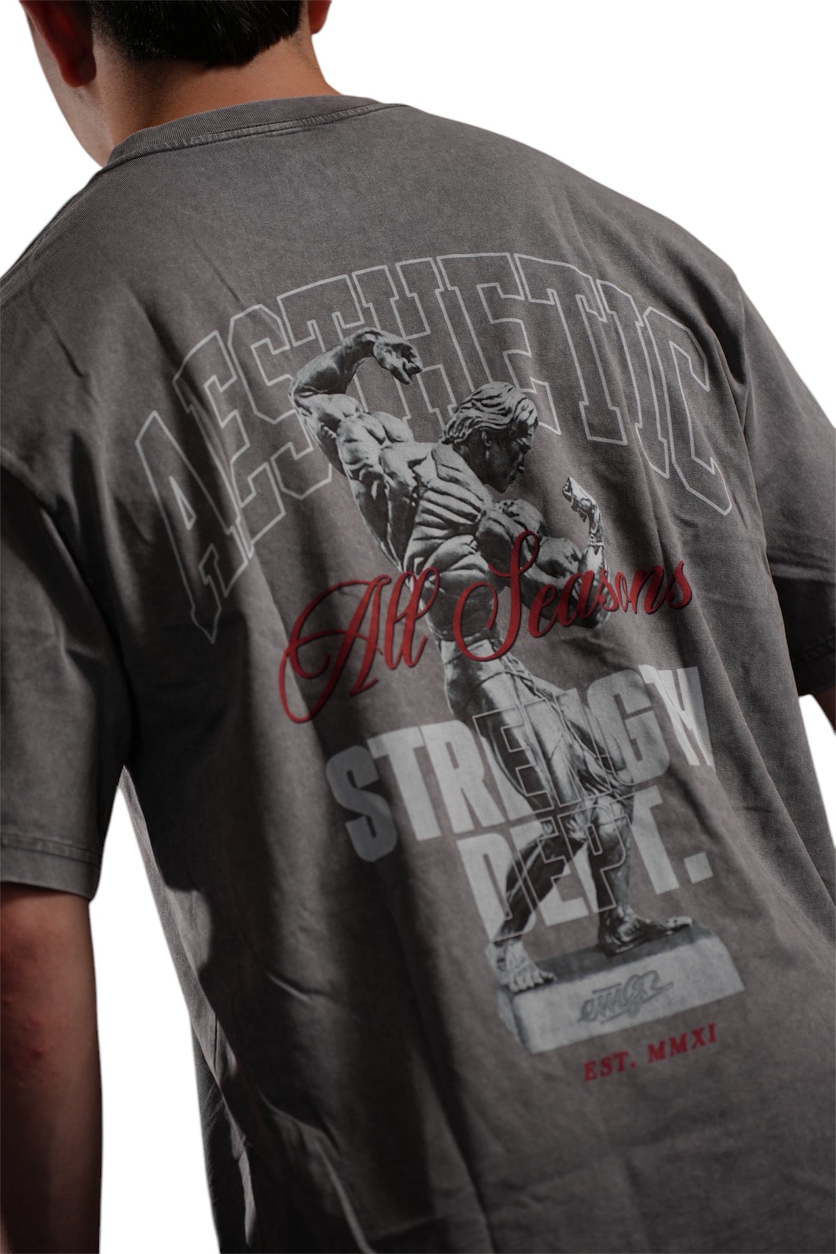 Oversize Aesthetic Grey - Serie EMJR