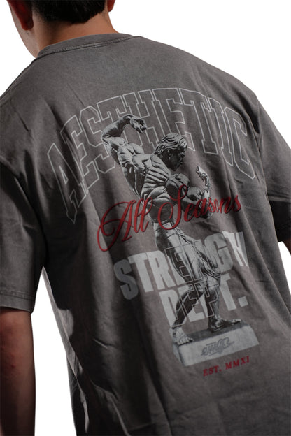 Oversize Aesthetic Grey - Serie EMJR